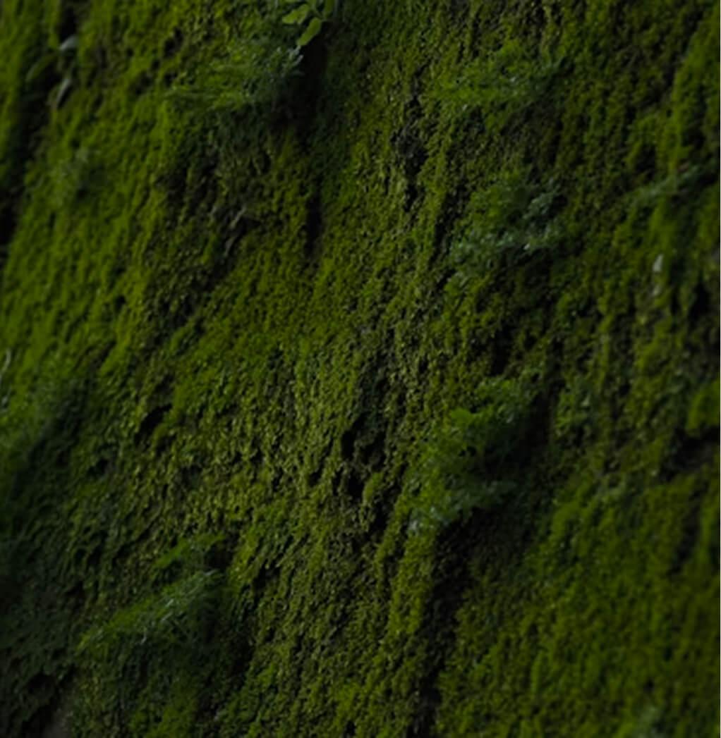 Background 1