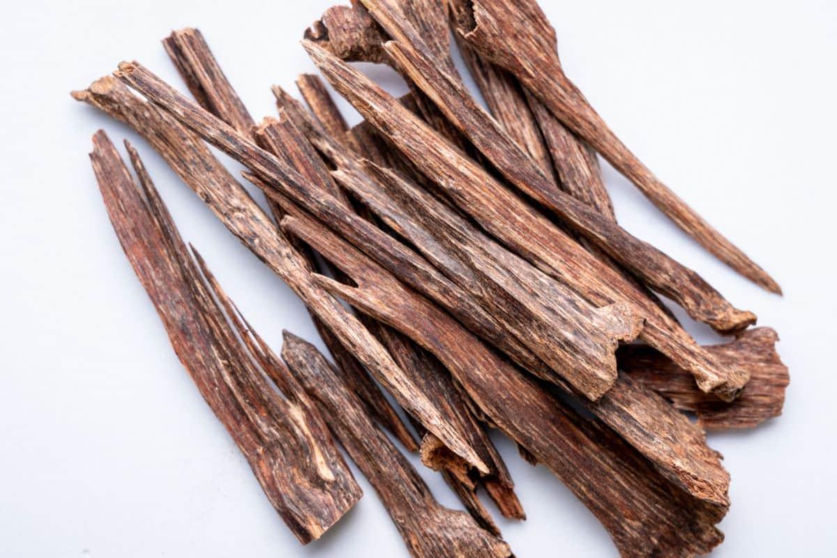 Berkenalan dengan Agarwood, Kayu Aromatik Bernilai Miliaran