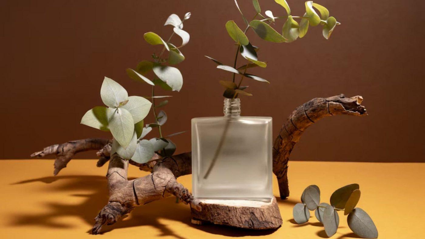 Karakteristik Parfum Wood (260) dan Rekomendasi Produknya